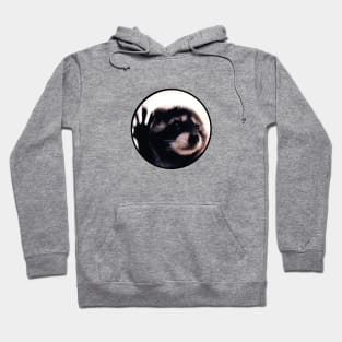 Damen Pedro Racoon Dance Hoodie